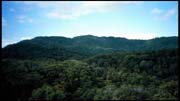 cairns_00_img089