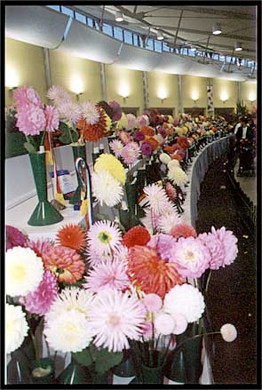 flowers_big.jpg (37634 bytes)
