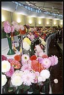 flowers_small.jpg (17526 bytes)