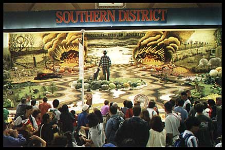 southern_big.jpg (43917 bytes)