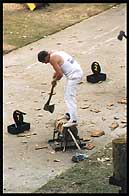 wchopper_small.jpg (14787 bytes)