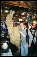 weird_bird_small.jpg (16115 bytes)