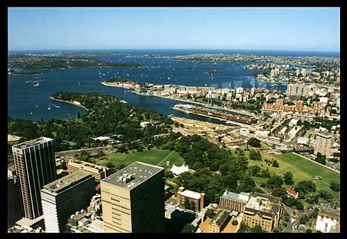 viewsydtowerbig.JPG (47037 bytes)