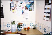 100403_roll1dx-15a