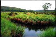 barr_1202_dx-12