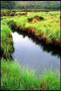 barr_1202_dx-13