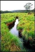 barr_1202_dx-14