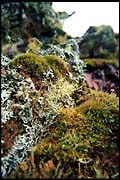 barr_1202_dx-18