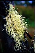 barr_1202_dx-19