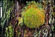 barr_1202_dx-22