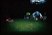 barr_1202_dx-24