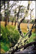 barr_291202_dx-05