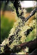 barr_291202_dx-06