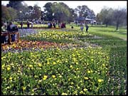 RIMG0167_180904