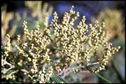 syd_250802_009