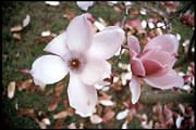 syd_250802_010