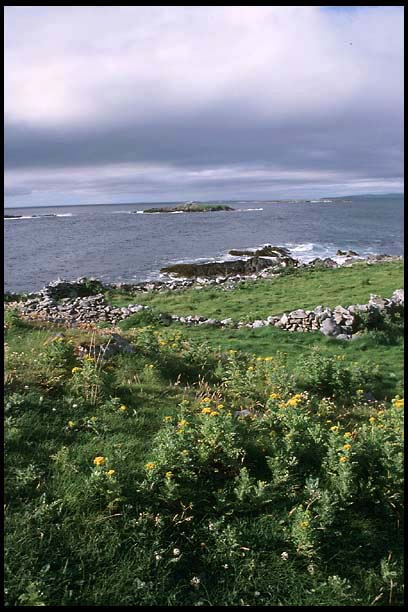 ire_260702_111