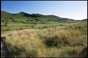 ire_260702_202