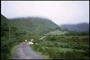 ire_260702_211