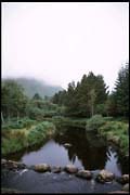 ire_260702_212