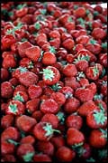 fin_280602_083