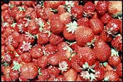fin_280602_084