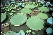 hk_300602_116