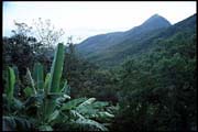 hk_300602_121