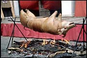 pol_100702_043
