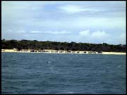 020104_RIMG0681
