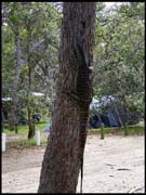 020104_RIMG0682