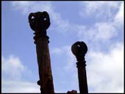 030104_RIMG0692