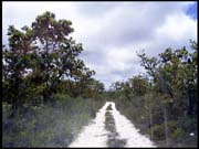 030104_RIMG0699