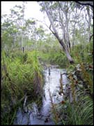 030104_RIMG0700