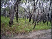 040104_RIMG0701