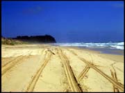 050104_RIMG0709