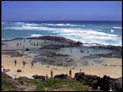 050104_RIMG0711