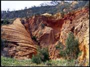 050104_RIMG0719