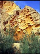 050104_RIMG0720