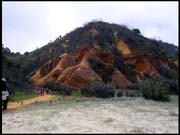050104_RIMG0721