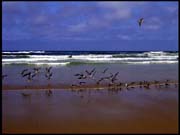 050104_RIMG0722