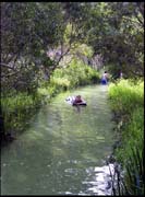050104_RIMG0723