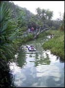050104_RIMG0725
