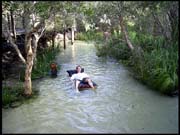 050104_RIMG0727