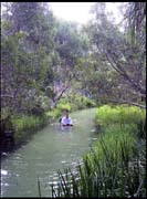050104_RIMG0728