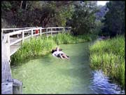 050104_RIMG0729