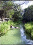 050104_RIMG0730