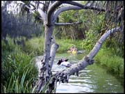 050104_RIMG0731