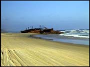 050104_RIMG0734