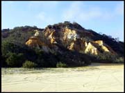 050104_RIMG0736